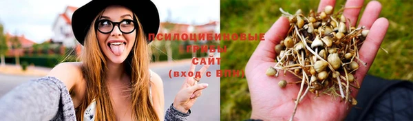 метадон Елизово