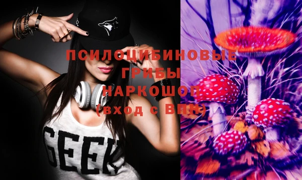 jwh Ельня
