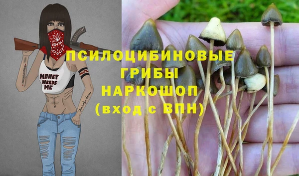 метадон Елизово