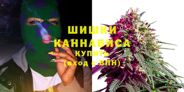 jwh Ельня