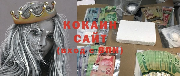 метадон Елизово