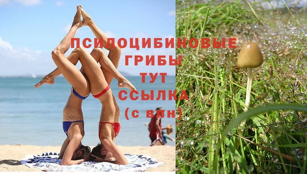 jwh Ельня